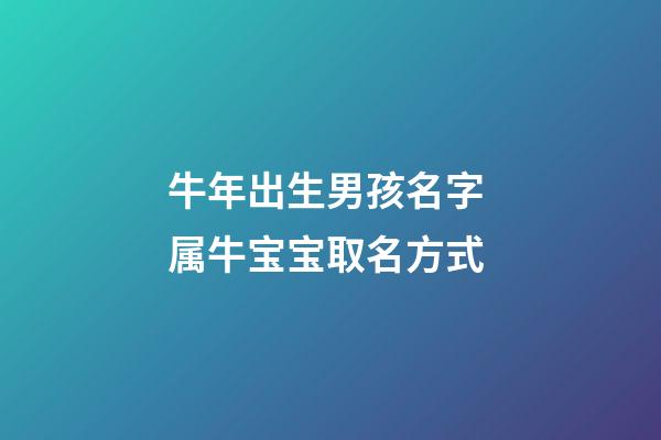 牛年出生男孩名字 属牛宝宝取名方式
